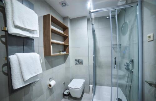 a bathroom with a toilet and a glass shower at Lana in Zlatibor