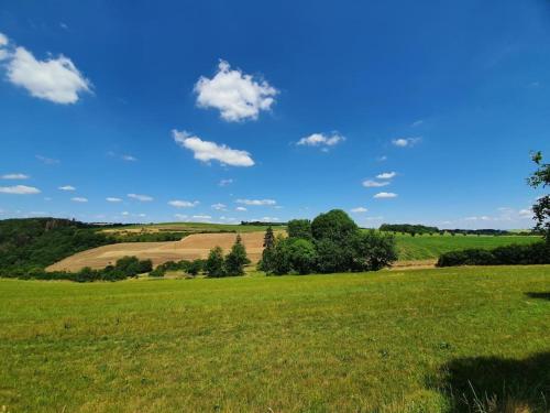 a field of green grass with a blue sky and clouds at Helle Ferienwohnung - Südeifel in Ammeldingen