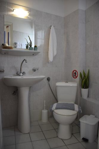 Koupelna v ubytování Lappas Rooms