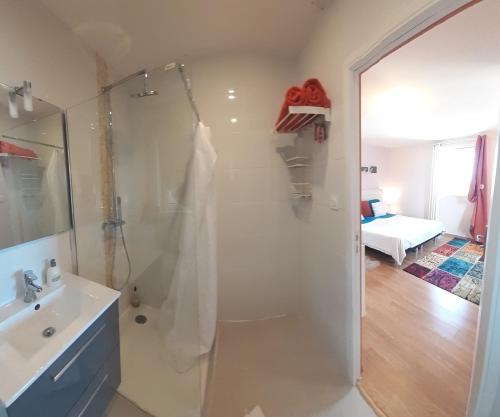 a bathroom with a shower and a sink at Les Terrasses du Paradis in Orpierre