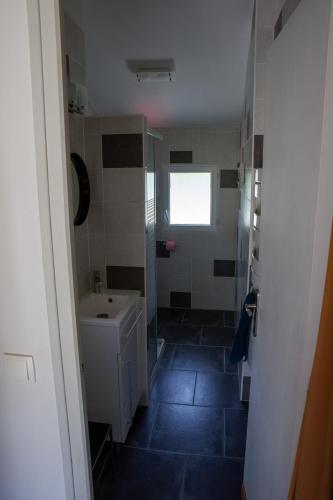 La petite salle de bains est pourvue d'un lavabo et de toilettes. dans l'établissement 2089293, à Lachapelle-Auzac