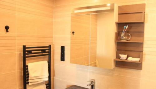 La salle de bains est pourvue d'une douche avec un miroir et un lavabo. dans l'établissement Terrasse avec vue, proche Bercy-Paris, 3 pièces spacieux et confort, à Paris