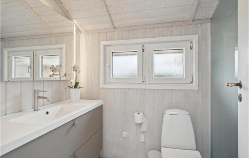 SpodsbjergにあるNice Home In Rudkbing With Saunaのバスルーム(洗面台、トイレ付)、窓2つが備わります。
