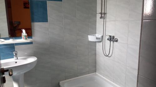 a bathroom with a shower and a toilet and a sink at CASA ADELA in Tulcea