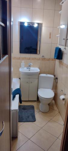 a bathroom with a toilet and a sink at Apartament w centrum Iławy in Iława