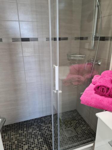 La salle de bains est pourvue d'une douche et d'une serviette rose. dans l'établissement Sable et Soleil, à Royan