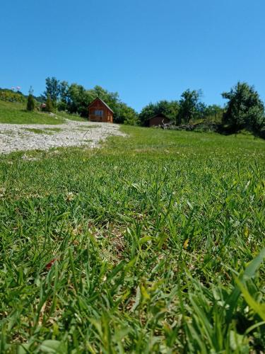 pole zielonej trawy z domem w tle w obiekcie Tiny H w mieście Ocnele Mari