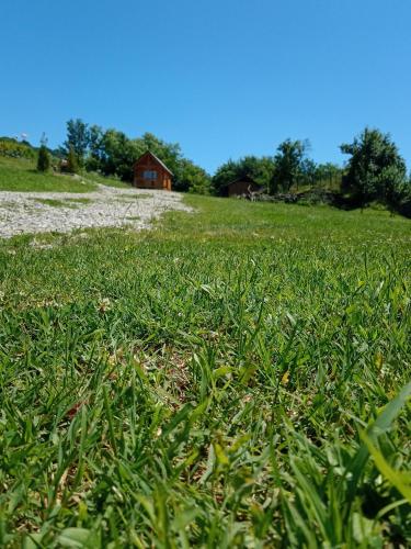 a field of green grass with a house in the background at Tiny H in Ocnele Mari