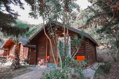 une cabane en rondins avec des chaises orange devant elle dans l'établissement Plazhi Gjeneralit - Small Cabins - Bungalows - Apartaments - Villas - Suite, à Kavajë