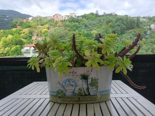 a potted plant sitting on top of a table at Decò & Retrò apartment in La Spezia