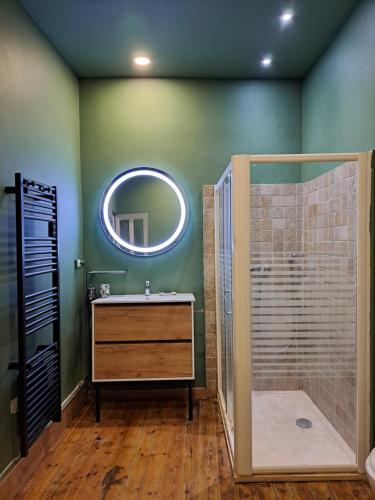 La salle de bains est pourvue d'une douche, d'un lavabo et d'un miroir. dans l'établissement Mas en Provence chez Coba, à Graveson