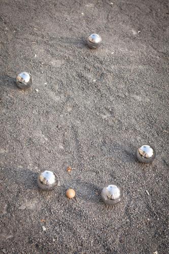 a group of oysters sitting on the sand at Suite Aux Anges in Antwerp