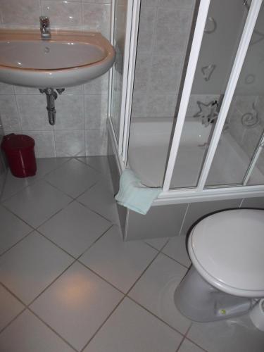 a bathroom with a shower and a sink and a toilet at Gasthof Lindenkrug in Broderstorf