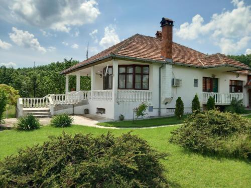 Zahrada ubytování Apartmani Ćosić