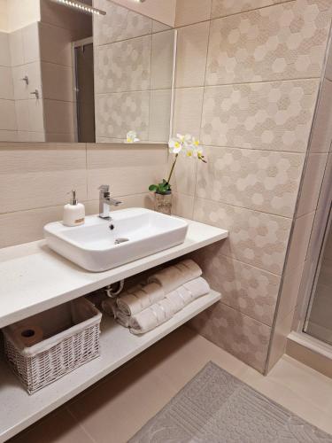 a bathroom with a sink and a mirror at ORI Classy Apart Malul Mureșului in Arad