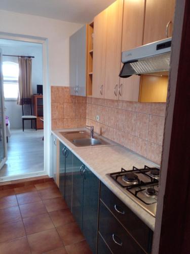 Η κουζίνα ή μικρή κουζίνα στο Apartmani Marijanovic