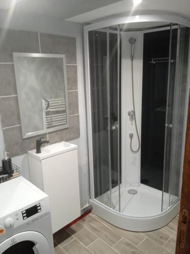 ein Bad mit einer Dusche und einer Glastür in der Unterkunft Charmant studio sur la route du Mont-St-Michel in Les Portes du Coglais
