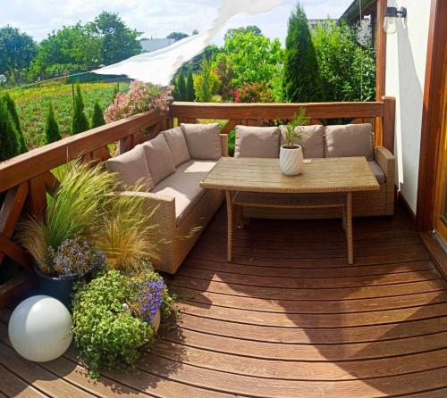 Ein Garten an der Unterkunft Żuławska Osada