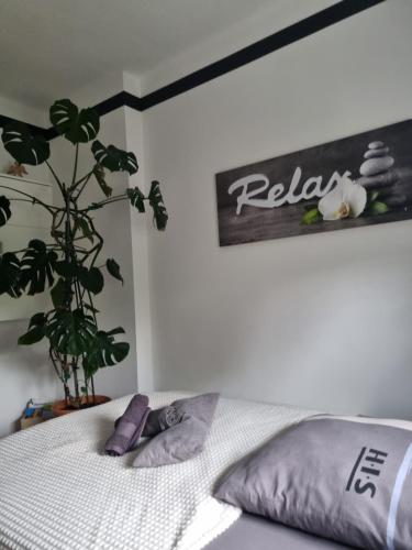 a bedroom with a bed with a pillow and a plant at Ferienwohnung *Zur Weinbergstraße* in Lauta
