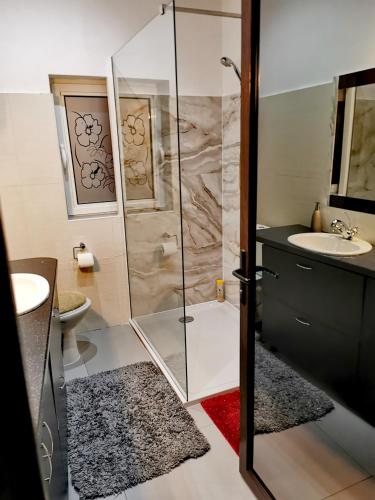 a bathroom with a shower and a sink at Vila Bijou in Borşa