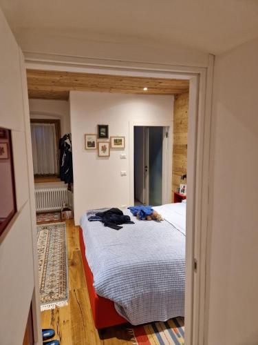a bedroom with a bed in a room at Casa Gion in Santo Stefano di Cadore