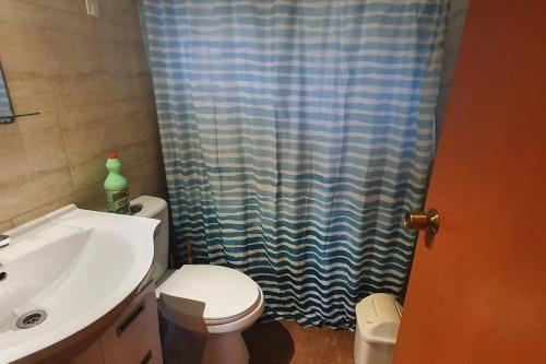 y baño con lavabo, aseo y cortina de ducha. en Remodelada Cabaña Antoleo a metros de Lago Vichuquén, en Vichuquén