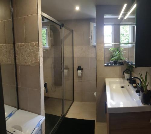 łazienka z przeszkloną kabiną prysznicową i umywalką w obiekcie Chambre cosy entre mer et montagne w mieście Ascain