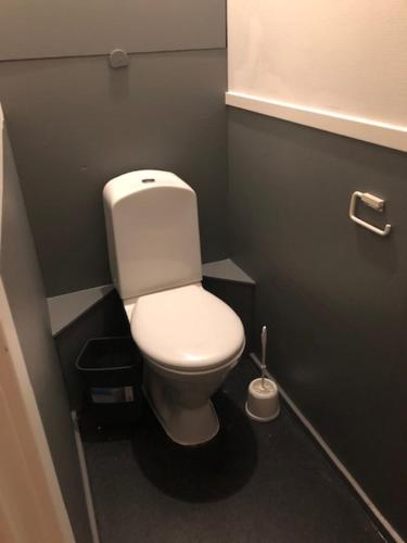 a bathroom with a white toilet in a stall at Viivin tuvat asunto A ja B in Alavus