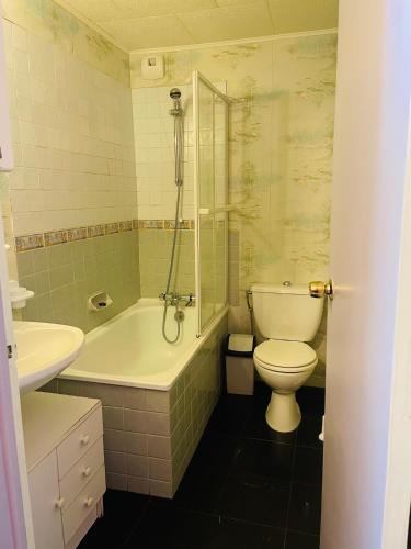 une salle de bain avec toilettes, lavabo et douche dans l'établissement Les Longes, à Le Mont-Dore