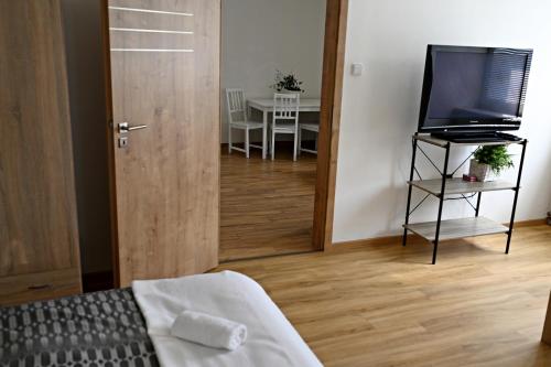 Μια τηλεόραση ή/και κέντρο ψυχαγωγίας στο Apartmány Bolevec Plzeň pro rodiny s dětmi a zvířátky