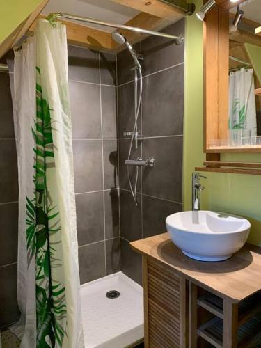 une salle de bain avec un lavabo et une douche dans l'établissement Chaleureux studio plein sud en Tarentaise !, à Bozel