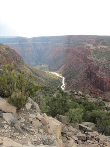 a view of the grand canyon from the top of a mountain at Cedar Canyon Condos in Blanding