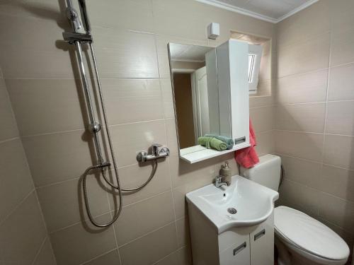 a bathroom with a shower and a toilet and a sink at Duplex Oasis Ada in Ada
