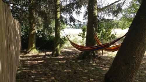 a hammock hanging between two trees in a forest at Casita Colombia - Glamping v Brdech - Příbram in Vysoká