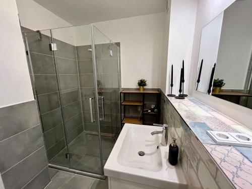 a bathroom with a shower and a white sink at Ferienwohnung am Klein Kiel in Kiel