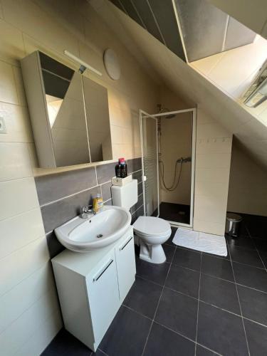 Bilik mandi di Ferienwohnung Soltau