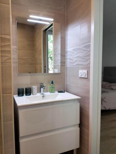 une salle de bain avec un lavabo et un miroir dans l'établissement La Provence vous Attend***!!! - 1er étage, à Digne-Les-Bains
