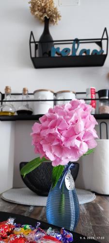 a vase with pink flowers in it on a table at Riviera Rooms and Apartments in Rab