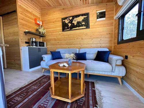 ein Wohnzimmer mit einem Sofa und einem Tisch in der Unterkunft Tiny House Patara in Kaş