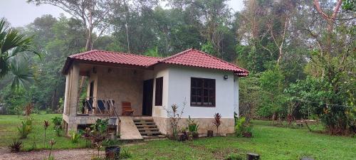Taman di luar Tu Casa en la Selva Lacandona