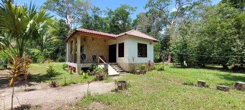 Taman di luar Tu Casa en la Selva Lacandona