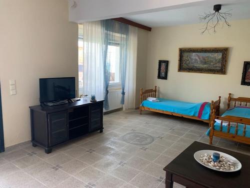 TV a/nebo společenská místnost v ubytování Apartment in Kinira Thasos