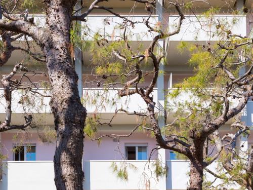two trees in front of a building at Hotel Sporting in San Benedetto del Tronto