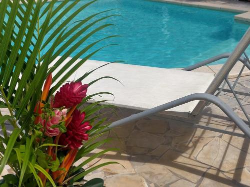 a chair sitting next to a swimming pool with flowers at ISK LOCATION in Sainte-Rose
