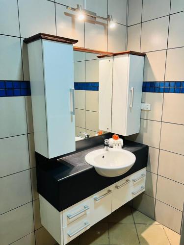 a bathroom with a sink and a mirror at Garden Apartments in Nadi