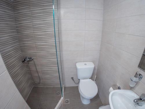 a bathroom with a shower and a toilet and a sink at Pavlopetri in Vingláfia