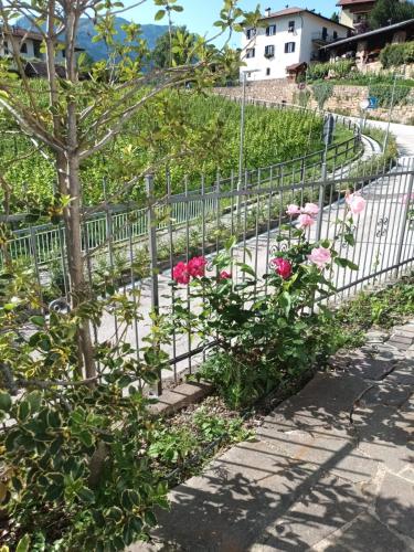 Taman di luar Home d'elite Il Vitigno
