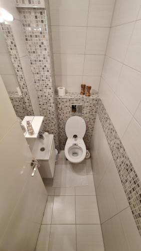 ein kleines Bad mit WC und Waschbecken in der Unterkunft Sarajevo City Deluxe Apartment in Sarajevo