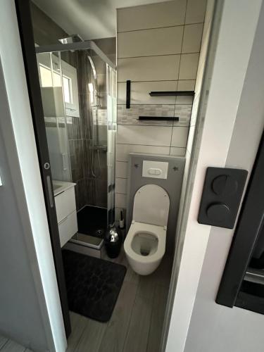 La petite salle de bains est pourvue d'une douche et de toilettes. dans l'établissement L'Acropole, au Cap d'Agde