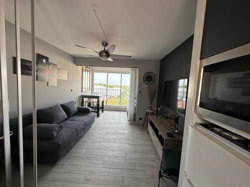 un salon avec un canapé et une télévision dans l'établissement L'Acropole, au Cap d'Agde